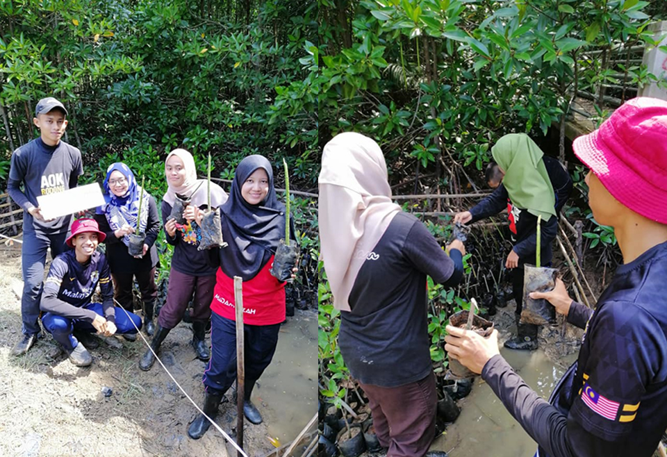 Program-menabung-&-menanam-Pokok-Bakau-di-Hutan-Paya-Laut-Kuala-Linggi-5