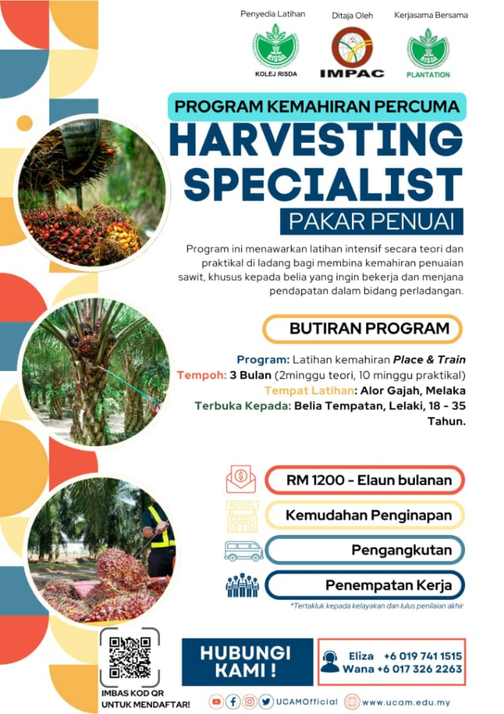 Program percuma latihan penuaian sawit untuk belia 18–35 tahun, lengkap peluang pekerjaan menarik.