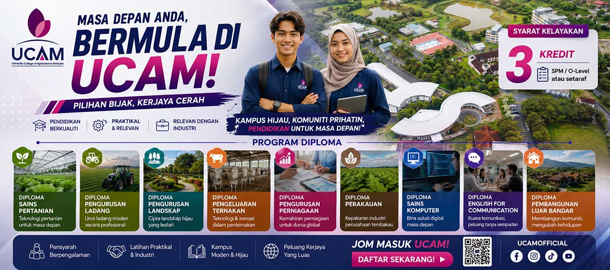WEB BANNER DIPLOMA