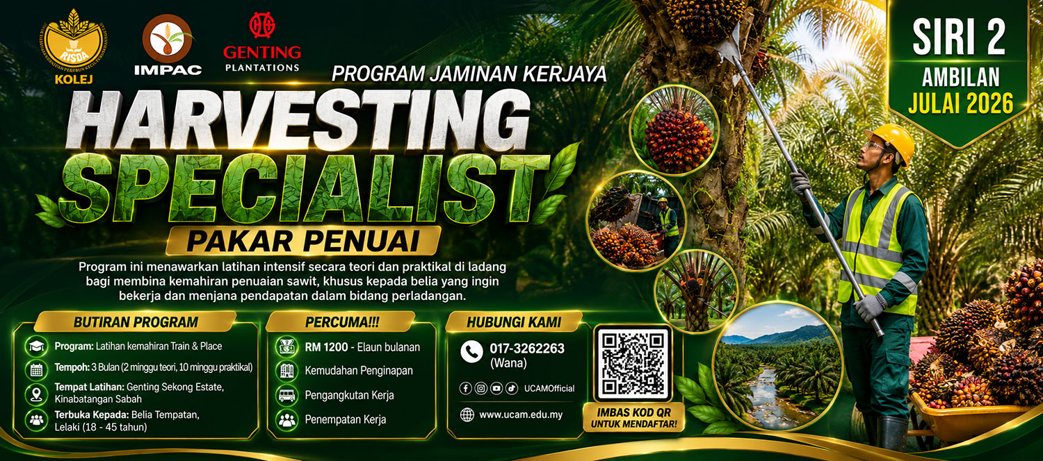 WEB BANNER IMPAC